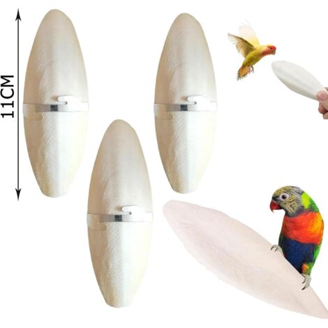 Lot De 10 Os De Seiche Naturels (9-12 Cm) - Pour Oiseaux, Perruches, Tortues, Reptiles - Complément Calcium Et Jouet à Mâcher