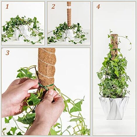 24 Attaches Pour Plantes En Forme De Mini-figurines - Tuteur Décoratif Réutilisable - Pour Intérieur Et Extérieur