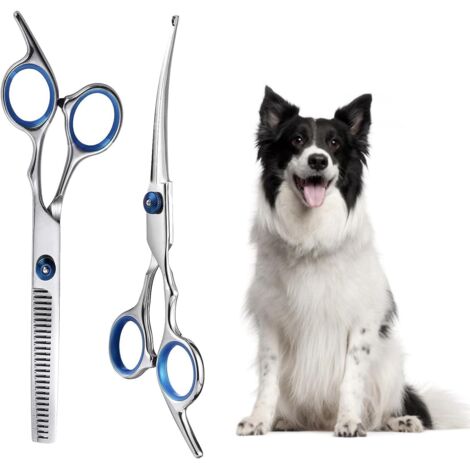 [JAMAIS UTILISÉ]2 Pièces Ciseaux Toilettage Professionnel Chien Poils, Ciseaux Effileur pour Chats en Acier Inoxydable avec Embouts de Sécurité Ronds, pour Animaux Domestiques pour Couper les Poils (1/5)