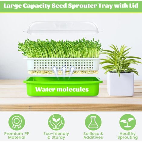 Pousse Plateaux en Plastique Plateau de Germination Graines Producteur