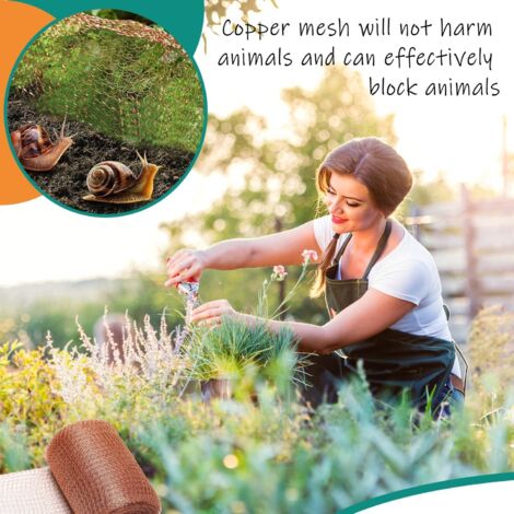 Bande De Cuivre Anti-Escargots 12,7 Cm × 6 M – Maille Métallique 100% Cuivre Contre Limaces, Rongeurs, Souris – Barrière Naturelle Jardin