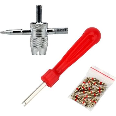 Valve Pneu Outil,Kit Outil de Tire Repair Voiture,Valve de Pneu Outil Réparation,Valve Core Remover Rouge,Voiture Remplacement avec 4 en 1,Outil de Réparation de Valve de Pneu et Valve Core,32 Pièces (1/4)