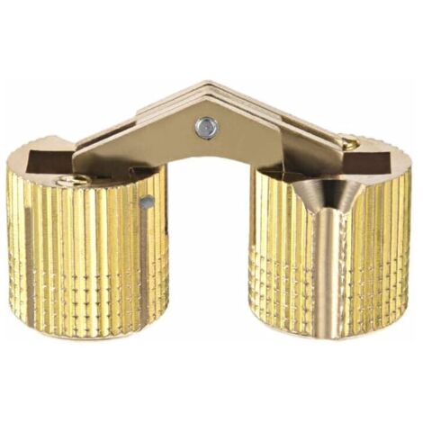 Charnière cylindrique invisible 18mm – Angle d'ouverture 180° – Pour bois dur et teck – Silencieuse et esthétique (1/3)