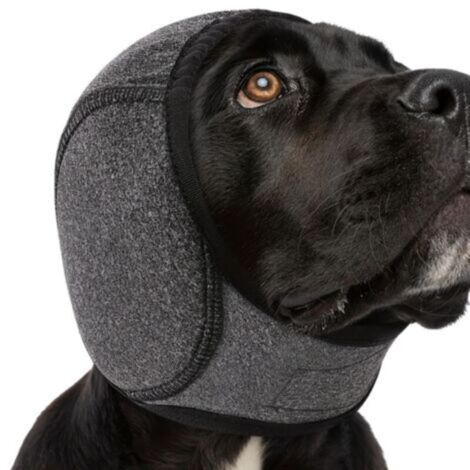 Cache-oreilles pour chien avec réduction du bruit Bandeau imperméable - Protection auditive étanche pour chiens Pour bloquer le bruit, calmer, hiver, bain, sécher