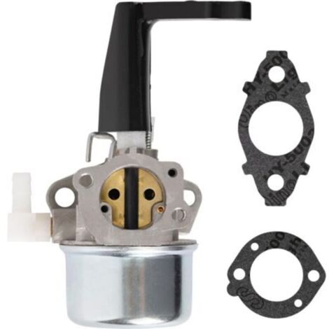 Carburateur BlueStars 696065 697422 avec kit de joints de montage - Compatible avec les moteurs de motoculteur 110402 110412 215369 5HP 5.5HP 6HP Rototiller Troy Generator Intek Motor Water Pump Carb (1/5)