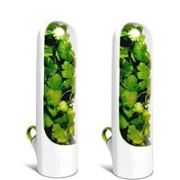 Knadgbft Lot de 2 boîtes à capsules – Boîte de conservation pour herbes aromatiques, conteneurs de conservation des aliments, conservation des légumes pour aneth et coriandre