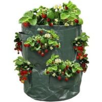 Sac à fraisiers Sac de Plantation pour Fraises Vert