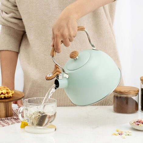 Bouilloire Sifflante 3L Acier Inoxydable - Compatible Induction, Gaz Et Électrique, Modèle Camping Et Cuisine