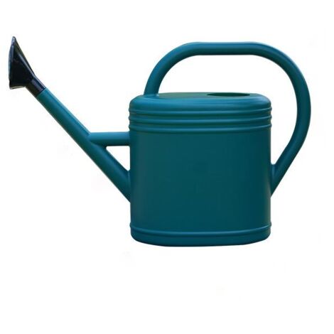Arrosoir Ovale 3 Litres avec Pomme d'Arrosage - Design Métal Vieilli Vert - Dimensions 40 x 12 x 29 cm - Pour Plantes d'Intérieur et Extérieur (1/4)