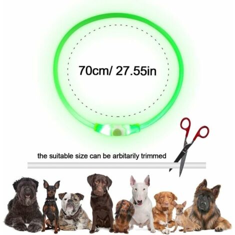 Suezlet Collier Lumineux pour Chien et médaille LED - Étanche - 15