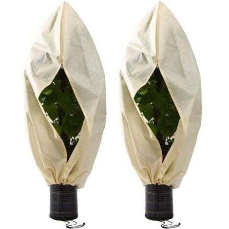 2 Pièces Housse Hivernage pour Plantes, Couverture d'hiver Végétale Non Tissée, Housse Hivernage Plante, Housse D'Hivernage, pour Tomates, Figuiers, Agrumes, Petits Arbustes60×80cm--INHHUB (1/4)