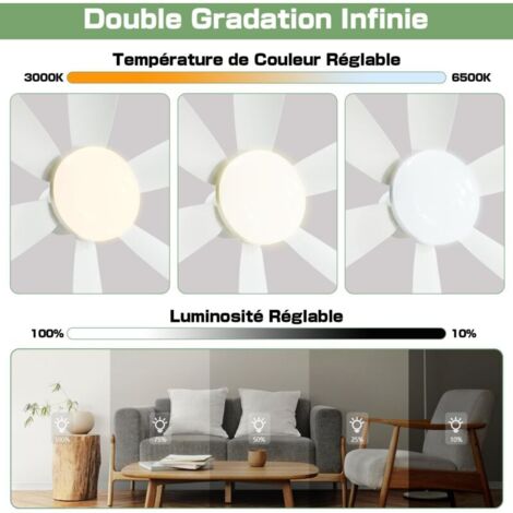 Ventilateur de Plafond avec Lumière et Telecommande, 40W