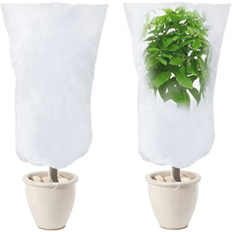 2 Pack Housse D'hivernage pour Plantes, Voile Hivernage Plante Exterieur Protection Plante Hiver pour Olivier Palmier Citronnier Arbre 120cm X 80cm