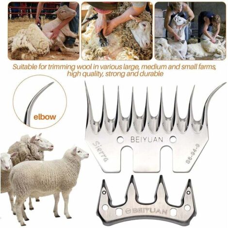 La Chirurgia Del Del Prolasso Di Vescica E Utero - Foto 7