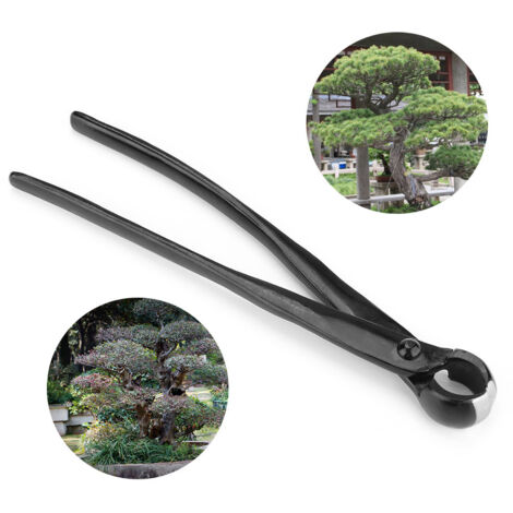 Ahlsen Pinza Bonsai Cóncava Corte Recto - Acero Inoxidable