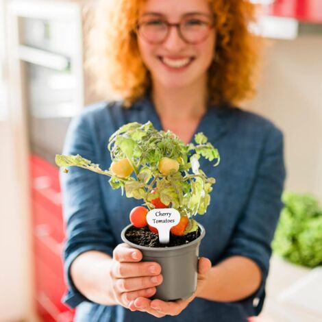 Pack 200 Etiquetas Para Plantas Con Anillo Ajustable | De Plástico Impermeable | Ideales Para Jardín, Huerto Y Balcón | 21 Cm De Altura