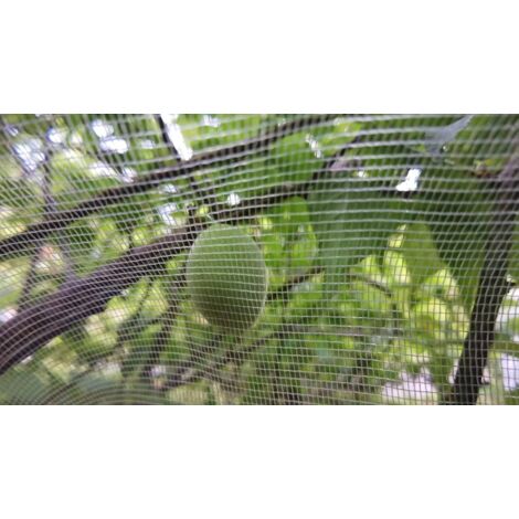 Red Para árboles Frutales Protección Contra Pájaros Y Mascotas Red