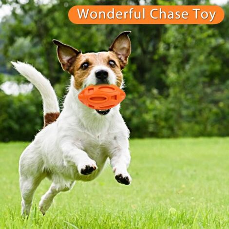 Durable Planet Hundespielzeug – Robustes Kauspielzeug Mit Quietscher Für Aggressive Kauer