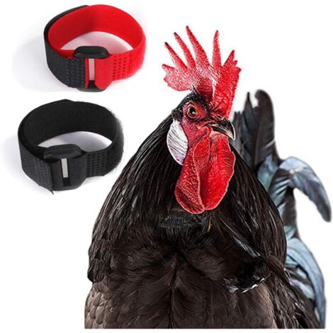 Collar de Pollo Anti Gancho Collar de Gallo Collar de Gallo Collar de Pollo Ajustable Evita que los Pollos Griten Molestar a los Vecinos Collar de Pollo 2 Piezas Collar de Gallo (1/5)