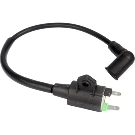Generador de gasolina ET950 ET650, paquete de alto voltaje, bobina de encendido, bolsa de alto voltaje, accesorios para generador (1/4)