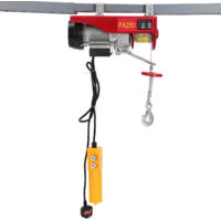 Holdfiturn 250kg Electric Hoist 550W Winch Engine Support Arm Winch Lifting Scaffold for Workshop