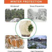 Voile D'Hivernage Réutilisable 200x240 Cm – Protection Antigel Pour Plantes Extérieures, Palmiers, Oliviers – Tissu Non Tissé Respirant Avec Fermeture Éclair