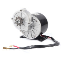 Eosnow 12 V 250W Zahnradreduzierung Elektromotor mit 9 Zahnkettenrad gebürstete DC -Motoren Reduktor für E -Bike -Roller