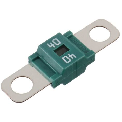 Fusible Lame Type Femelle Plastique Vert 40A - Pour Voiture - Compatible Universel - Neuf