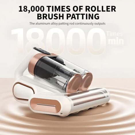 Aspirateur Anti-acariens - Allergènes, 400W, Technologie Cyclone