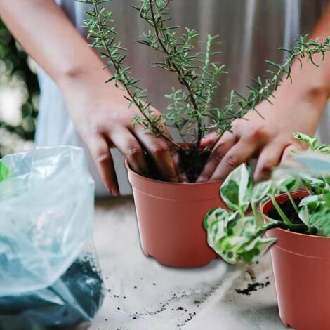 12 Pots De Semis Transparents 9 Cm Avec Couvercles Dôme – Godets Repiquage Plastique Drainage Pour Graines Fleurs Légumes