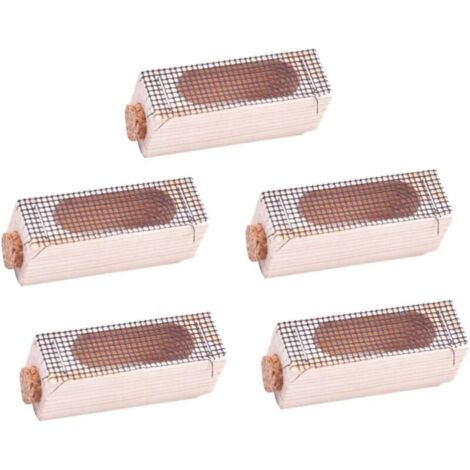 royaluxe -5 pièces en bois reine abeille cages abeille reine cage recev insectes boîte apicult apiculture équipement fournitures pour l'élevage de la reine et les divisions de ruche