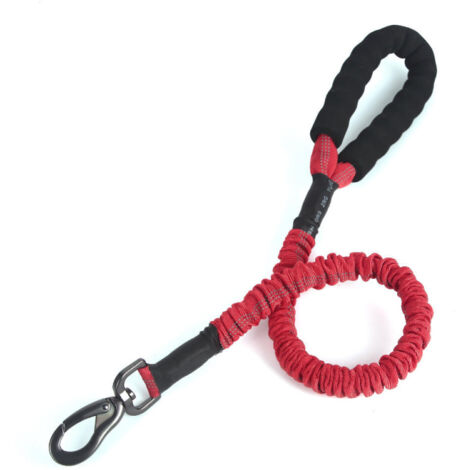 Laisse pour grands chiens, 20-60 kg, résistante, élastique (120 cm, rouge) Laisse pour chien (1/3)
