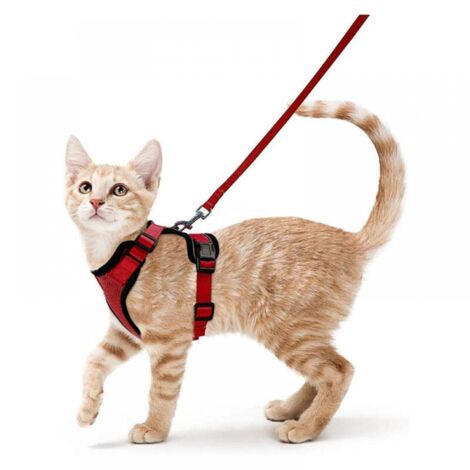 Harnais et laisse pour chat pour la promenade, harnais gilet souple et réglable anti-fuite pour chats, gilet respirant à bandes réfléchissantes facile à contrôler, rouge, taille S
