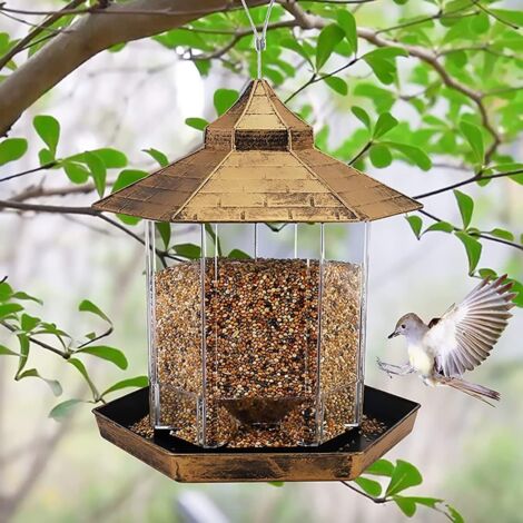 Mangiatoia per uccelli, in acrilico trasparente, per davanzale di finestre, con ventose forti, da appendere per birdwatching per piccoli uccelli (tipo C