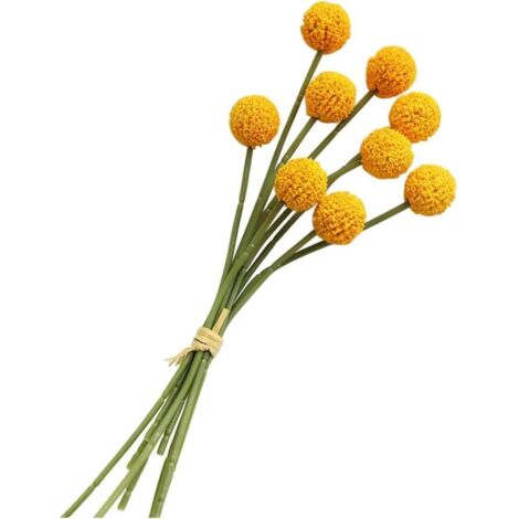 GESSETTO A FORMA DI FARFALLA. SIMBOLO DI ELEGANZA PER LE TUO OCCASIONI