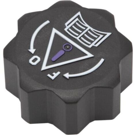 1306.E4 Tapa del depósito de expansión de refrigerante 9638001280 9681593380 1306e4 Compatible con Citroën Toyota (1/4)