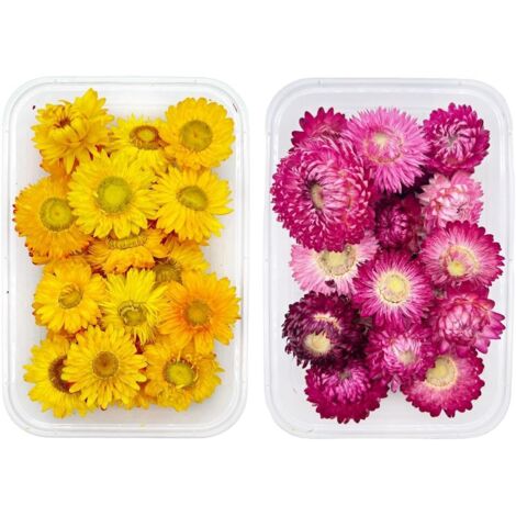 2 Schachteln natürliche Trockenblumen, natürliche Trockenblumen, natürliche getrocknete gepresste Blumen, Trockenblumen-Dekoration, zur Herstellung von Duftkerzen, Rafting-Flaschen, Bilderrahmen (1/5)