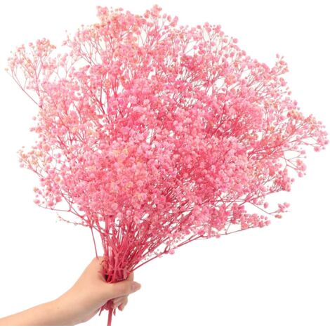 100 g getrocknete Schleierkrautblüten, über 2000 natürliche getrocknete Schleierkrautblüten für Hochzeitsdekoration, Haarschmuck, Heimdekoration, DIY (Rosa)