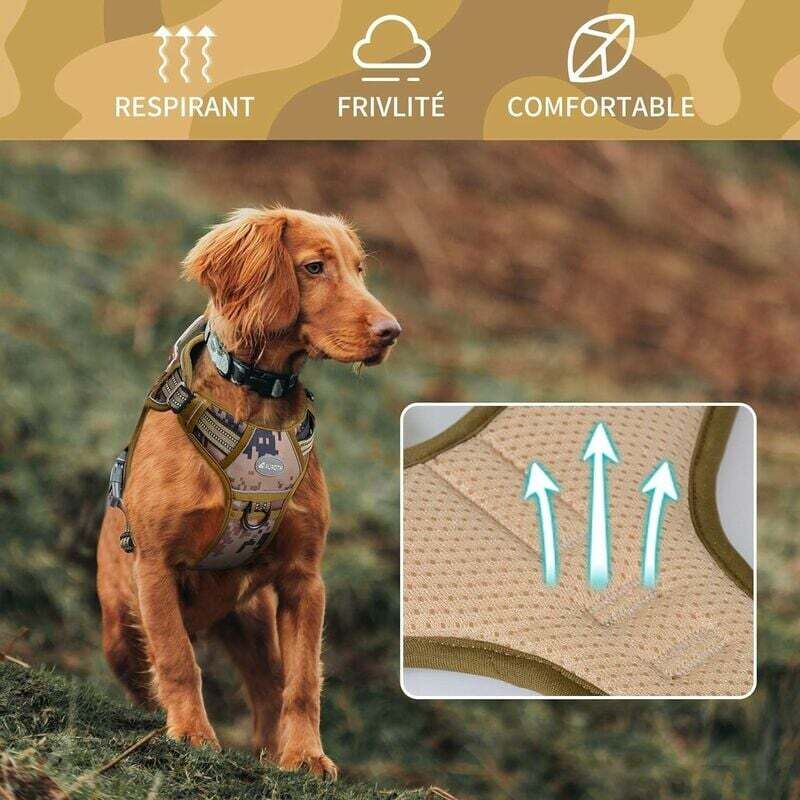 Pettorina Per Cani Anti-Trazione AiTodos - Taglia M, Nero/Grigio, Per Cani 14-25kg - Foto 3