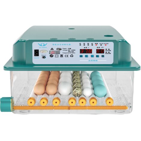 Incubatrice per uova, Incubatrice per uova con rotazione automatica delle uova e monitoraggio dell'umidità, Incubatrice per uova di gallina, Incubatrice per 36 uova con candela per uova, per uova di a (1/5)