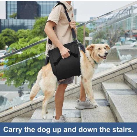 Imbracatura per il trasporto di cani, supporto di emergenza per le zampe degli animali domestici e zaino per la riabilitazione (M, nero) (1/4)