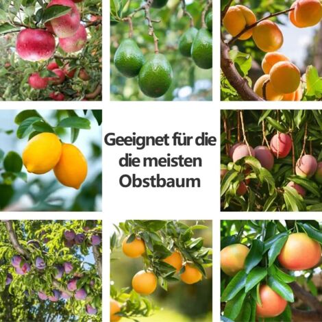 Scala per la raccolta della frutta, raccoglitrice di frutta mobile, raccoglitrice di frutta in acciaio inossidabile da 3,2 m, raccoglitrice di ciliegie, raccoglitrice di mele, raccoglitrice di frutta, (1/4)