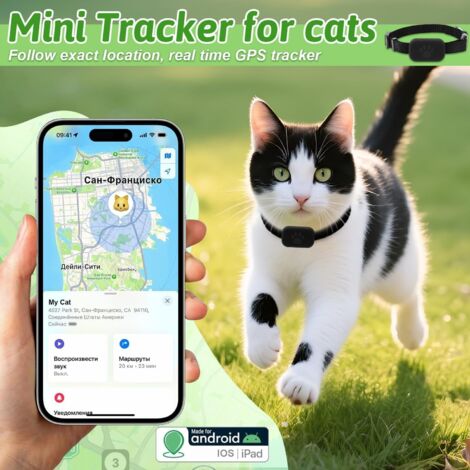 Collare GPS per gatti, localizzatore GPS per gattini senza abbonamento, posizione in tempo reale, compatibile con iOS/Android, impermeabile, batteria a lunga durata – Nero (O)