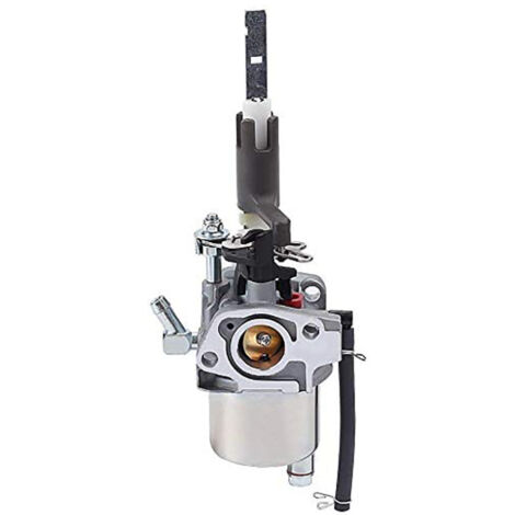 Carburador para quitanieves ST224 921024 921028 921030 LCT 254cc (1/5)
