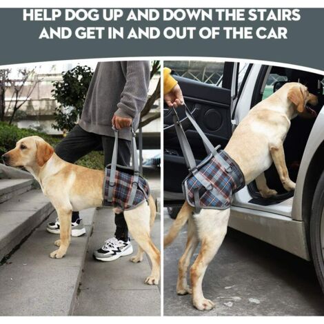 Arnés de apoyo para perros, patas traseras para mascotas, elevación ajustable, correa de recuperación para perros, rehabilitación, ayuda canina para pasear perros mayores (M, azul)