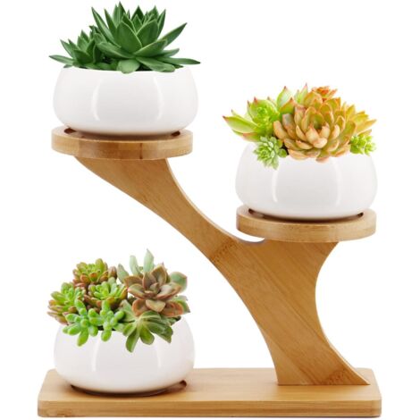 Macetas de cerámica con bandeja de bambú, macetas pequeñas con forma de cactus para el alféizar de la ventana de la oficina en casa (redondas)
