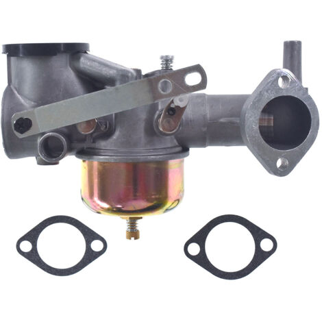 Carburador para 491590, 390811, 392152, 490499, 491026, 281707 (1/5)