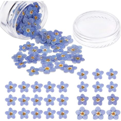 Flores de miosotis secas naturales, flores secas, nomeolvides, flores prensadas secas reales para hacer tarjetas, velas, joyas, adornos de resina para bricolaje, arte de uñas (100) (1/5)