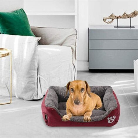 Juelle Cama Para Perros Pequeños - Almohada Para Perros Pequeños, Funda Extraíble, Lavable A Máquina Cama Mullida, Sofá Para Perros XXS-XL (Tamaño: XS - 60 X 50 Cm, Azul Cielo