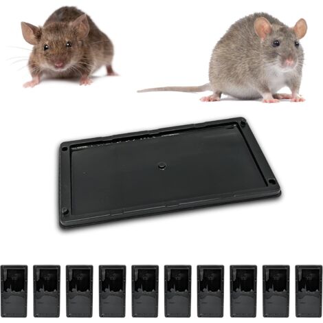 Trampa para ratones, trampa para ratas, trampas adhesivas, control de roedores, alternativa a las trampas de resorte [pegamento perfumado extra fuerte] (10 trampas adhesivas)
